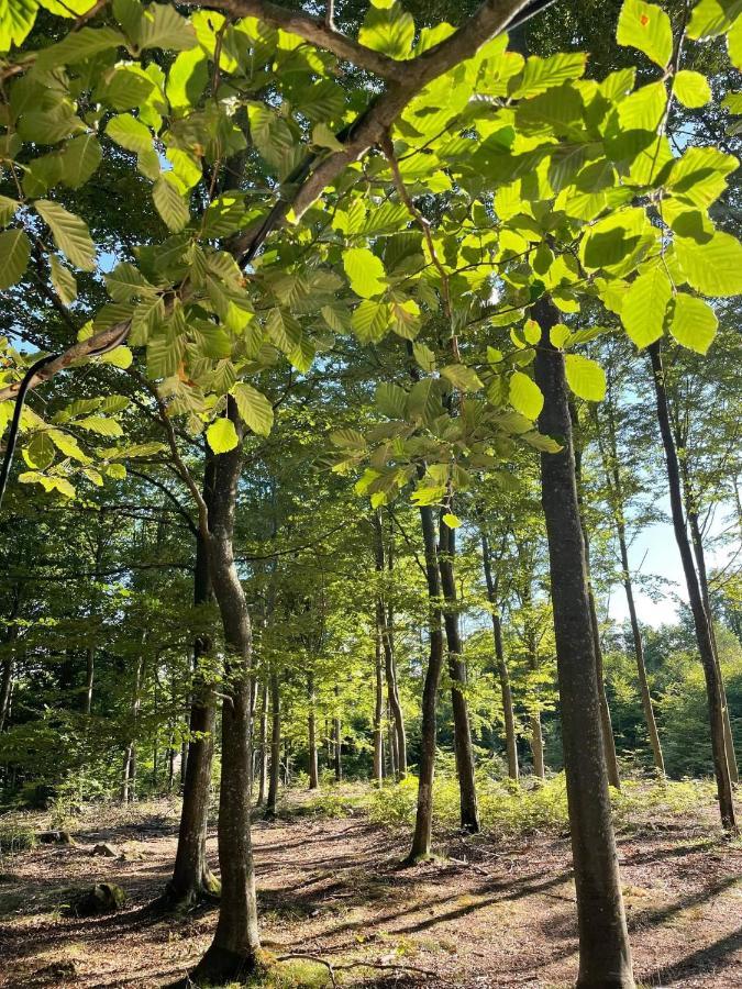 Naturglamping Кришанстад Екстериор снимка