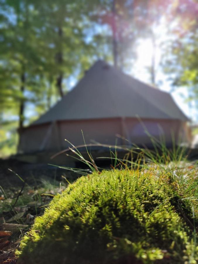 Naturglamping Кришанстад Екстериор снимка